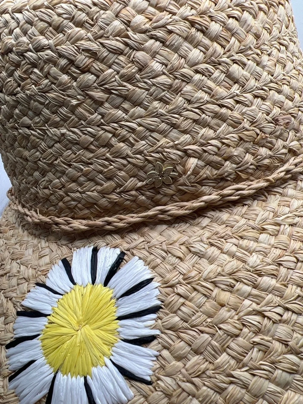 Cappelli Straworld 291 raffia